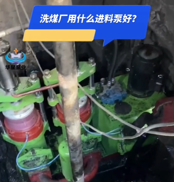 洗煤厂压滤机用什么进料泵好