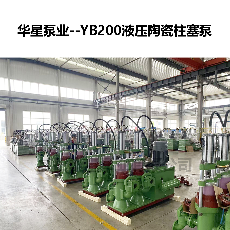 ybh200-19污泥压滤机专用柱塞泵