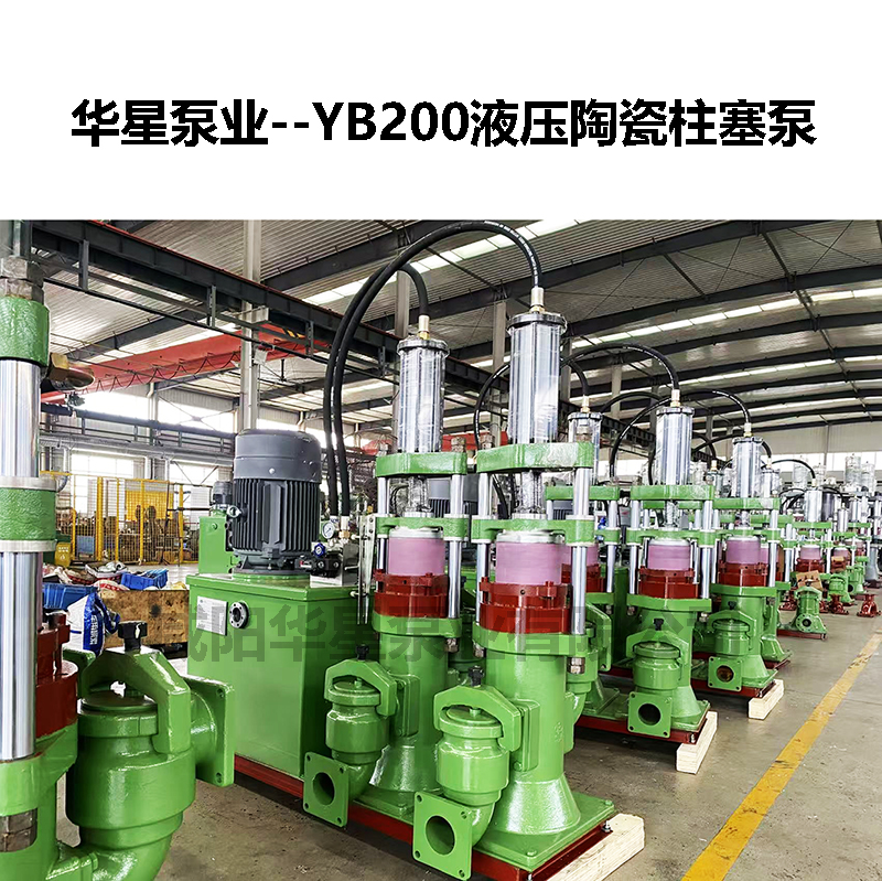 印染厂污水处理柱塞泵yb200-19