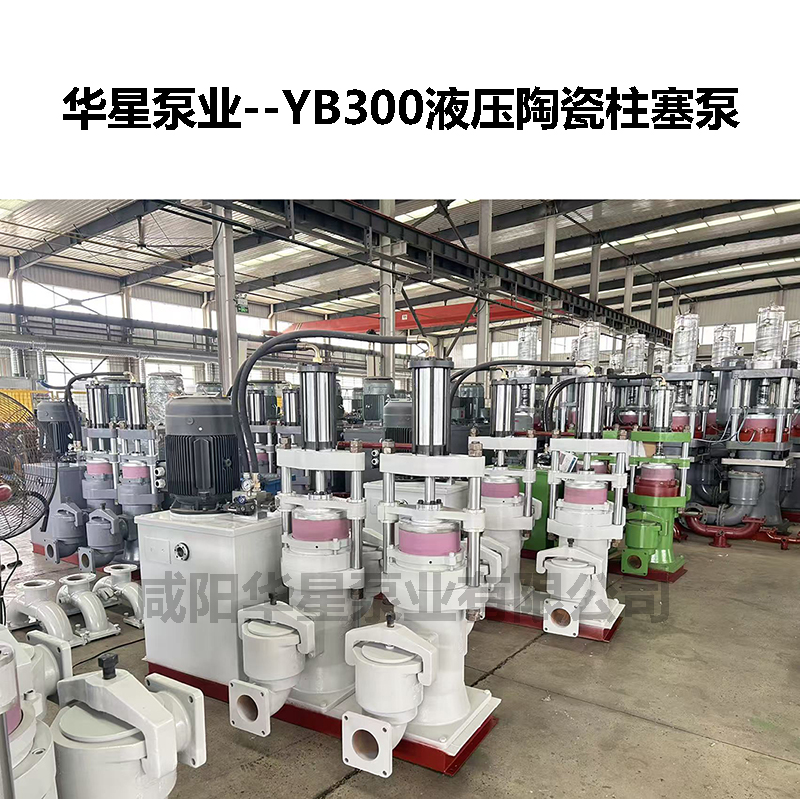 YB300液压陶瓷柱塞泵-12