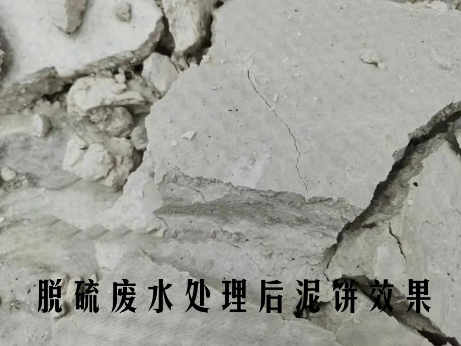 泥饼图片2