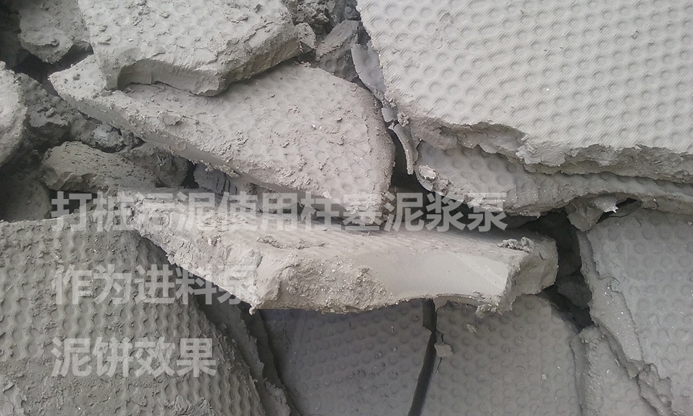 处理后的泥饼5