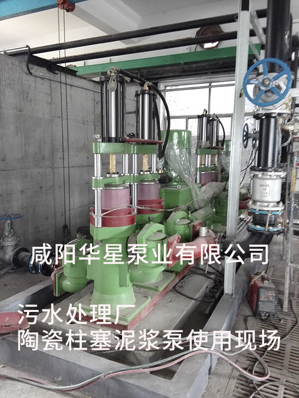 山东淄博光大水务-市政污水处理-水印2
