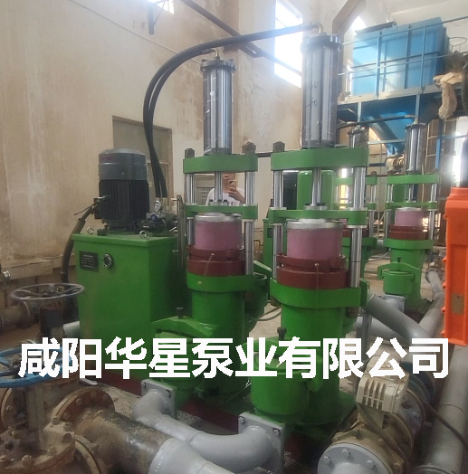 市政污水处理厂柱塞泵替换螺杆泵-03