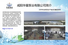 压滤机喂料泵